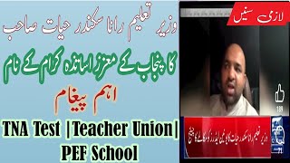 Education Minister Rana Sikandar Hayat interview about TNA  PEF School amp Teachers union Test [upl. by Atilamrac]