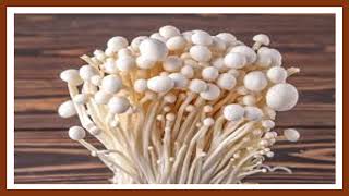 knowledge  Popular  Edible Mushrooms [upl. by Aohk]