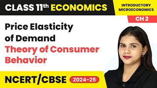 Price Elasticity of Demand  Theory of Consumer Behavior  Class 11 Economics Chapter 2  CBSE 2024 [upl. by Leelahk]