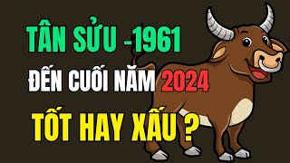 Tử vi tuổi Tân Sửu 1961 Từ giờ đến cuối năm 2024 Tốt hay Xấu Giàu có May mắn hay vận hạn Thế nào [upl. by Eadnus]