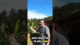 A GENTE FAZ PARTE DE UM SISTEMA INTELIGENTE rural plantas sustentabilidade agroecología [upl. by Adnana]