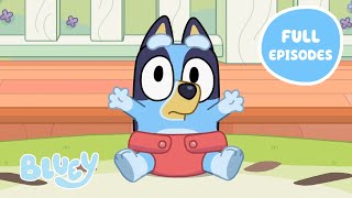 Heeler Family Time 💙 🧡  Full Episodes  Baby Race Asparagus and More  Bluey 💙 [upl. by Sherard]