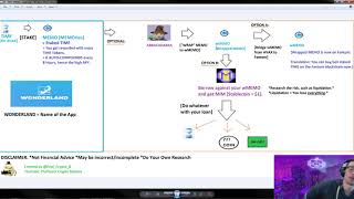 TIMEMEMOWONDERLAND and connections to DEFI 20 Simple Overview [upl. by Annaiuq]