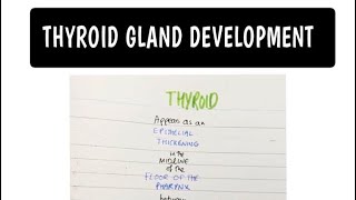 Thyroid Gland Development  Embryology MADE EASY [upl. by Ahsienod80]