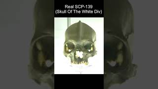 Skull of the White Div  SCP139 SCP Library [upl. by Ueihtam838]