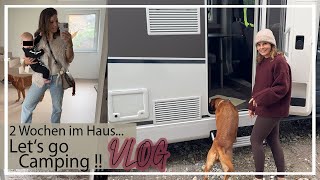 2 Wochen im Haus  Lets go Camping   Chocolate  Foxred Labrador  KaroLovesMilka [upl. by Diarmid946]