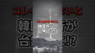 【これで完璧！】韓国旅行で飛行機内に持ち込めないもの特集 渡韓 物販 ソウル旅行 韓国転売 韓国ショッピング 輸入ビジネス 韓国旅行 韓国旅行vlog ソウル 韓国コスメ [upl. by Geilich349]