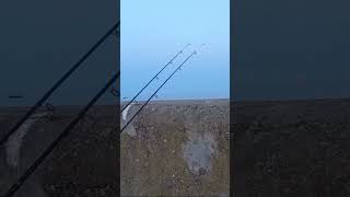 Lowestoft Pier Sea Fishing [upl. by O'Neil]