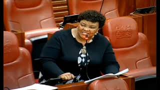 Senator Agnes Kavindu Muthama giving her views on the bill seeking to ban harambees in Kenya [upl. by Seni228]