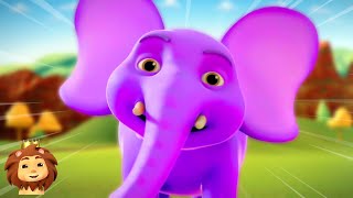 Hathi Wala Cartoon एक मोटा हाथी  More Animal Nursery Rhymes amp Kids Songs By Magic Jungle [upl. by Weyermann]