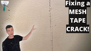 Drywall Repair Fixing a classic MESH TAPE CRACK [upl. by Aisauqal167]