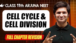 Cell Cycle amp Division  COMPLETE Chapter in 1 Video  Quick Revision  Class 11th Arjuna NEET [upl. by Gasper]