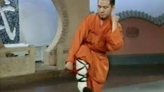 Shaolin Kung Fu 18 fight techniques [upl. by Yblocaj796]