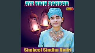 Sarkar Barey Sohney Nain [upl. by Hsaka]