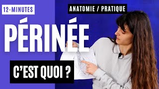 Cest quoi le PÉRINÉE  Anatomie et pratique  12min [upl. by Modestine101]