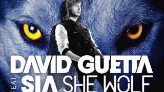 David Guetta and Sia  She Wolf Falling to Pieces Michael Calfan Remix [upl. by Papp]