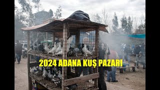 2024 ADANA KUŞ PAZARI [upl. by Iatnwahs]