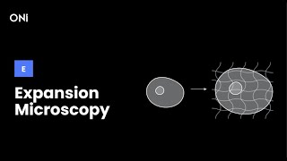 What is Expansion Microscopy [upl. by Aisatal210]