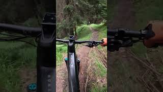 Sven steht im Wald und der Trail wird steil🤯😂🤘enduromtb mtb mountainbike mtblife short thusis [upl. by Llerraj877]