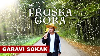 Garavi Sokak  Fruška gora Official video 2020 [upl. by Manny904]