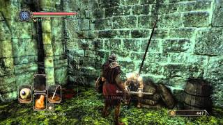 Dark Souls II  Saponita Blanca [upl. by Robinette947]