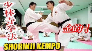 【Shorinji Kempo】Various groin attacks Control the enemy while apologizing [upl. by Westbrooke]