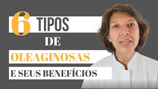 6 TIPOS DE OLEAGINOSAS E SEUS BENEFÍCIOS [upl. by Darsie193]