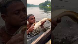 Ichamati River has caught the fishing herik of Gonza  Inventing new methods of hunting fish [upl. by Prevot430]