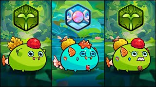 RARE ERA UPGRADED BUBBLE BOMBS  SEASON 7 TOP RANK BUILDS  AXIE ORIGIN [upl. by Crescin]