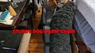 Great Pet Ramp Chair [upl. by Fairleigh]