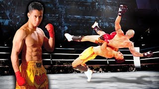 Cung Le Sanshou fighter [upl. by Eserahs]