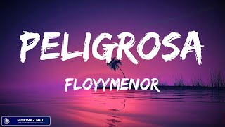 FloyyMenor  PELIGROSA  Video Letras [upl. by Frulla]