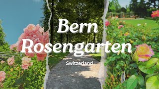 🌹 Bern Rosengarten 🇨🇭 [upl. by Annayoj798]