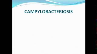 Campylobacteriosis ppt [upl. by Cattan]