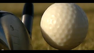 Ein gut verdaubarer Golfball aus Bioplastik [upl. by Ardnuhs]