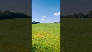 LouvainlaNeuve louvainlaneuve belgium europe nature fields shorts short viralvideo [upl. by Saree]