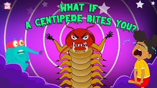 What if a Centipede Bites You  Are Centipedes Poisonous  Deadliest Insects  The Dr Binocs Show [upl. by Eiruam]