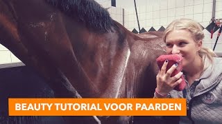 Beauty tutorial voor paarden met Britt en Eve  PaardenpraatTV [upl. by Ahsiliw285]