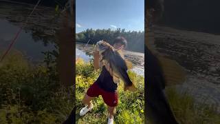 REAL FOOTAGE OF 12LB BASS ON GOOGAN FROG🐸 googan fishinglure fishingwithfroggoogansquad [upl. by Leunad]