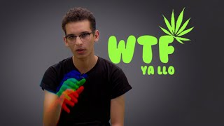 WTF  دين الزطلة [upl. by Gaylor]