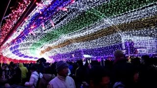 Taiwan celebra lo spettacolare e annuale Festival delle Lanterne [upl. by Lyrahc]