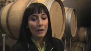 Elena Fucci presenta la sua azienda vinicola di Barile PT [upl. by Eiduj]