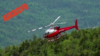 Temsco Helicopters Arriving Skagway [upl. by Coheman]