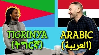 Similarities Between Tigrinya and Arabic [upl. by Eile]