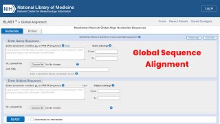 Bioinformatics practical 4 multiple sequence alignment using ClustalW [upl. by Notsreik824]