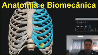 Anatomia e Biomecânica da Coluna Torácica  Costelas e Inspiração [upl. by Adnarram]