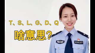 字母学会了四级稳了 [upl. by Malarkey844]