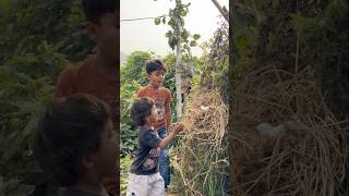 Children vs eggs shorts humanity vijaykumarviner emotional motivational [upl. by Hunter]