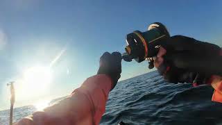 Biggest Red Snapper  Kayak Fishing [upl. by Halimak]