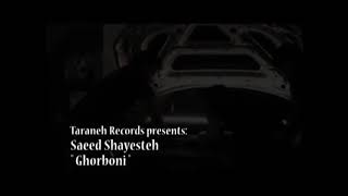 Saeed ShayestehquotGhorboniquotOriginal Music Video [upl. by Flanagan]